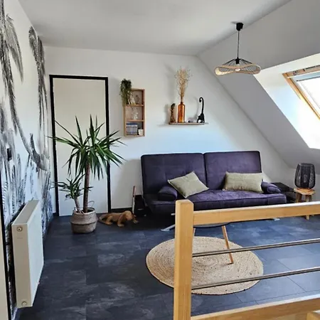 Proche Circuit Des 24h Du Mans Bed & Breakfast