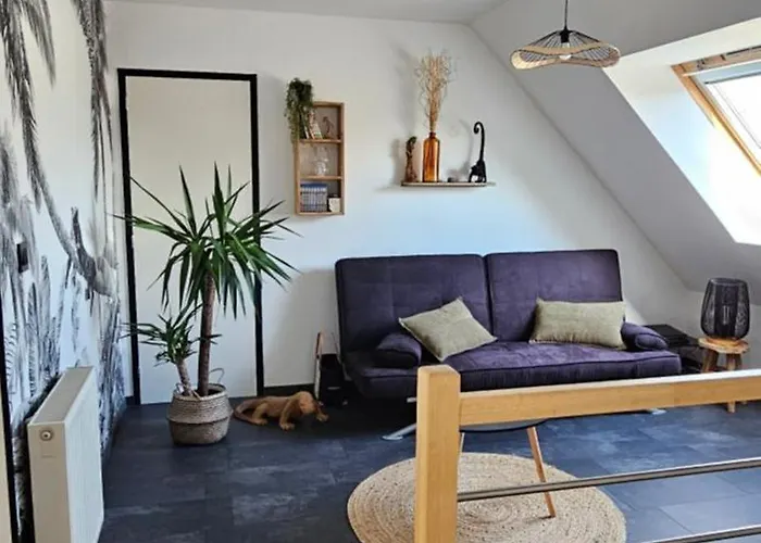 Proche Circuit Des 24h Du Mans Frühstückspension